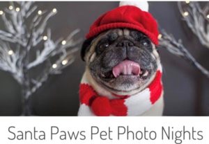 Santa Paws Pet Photo Night @ Arbor Place Mall | Douglasville | Georgia | United States