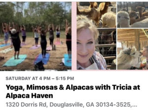 Yoga, Mimosas & Alpacas with Tricia at Alpaca Haven @ L& R Alpaca Haven Farm | Milton | Georgia | United States